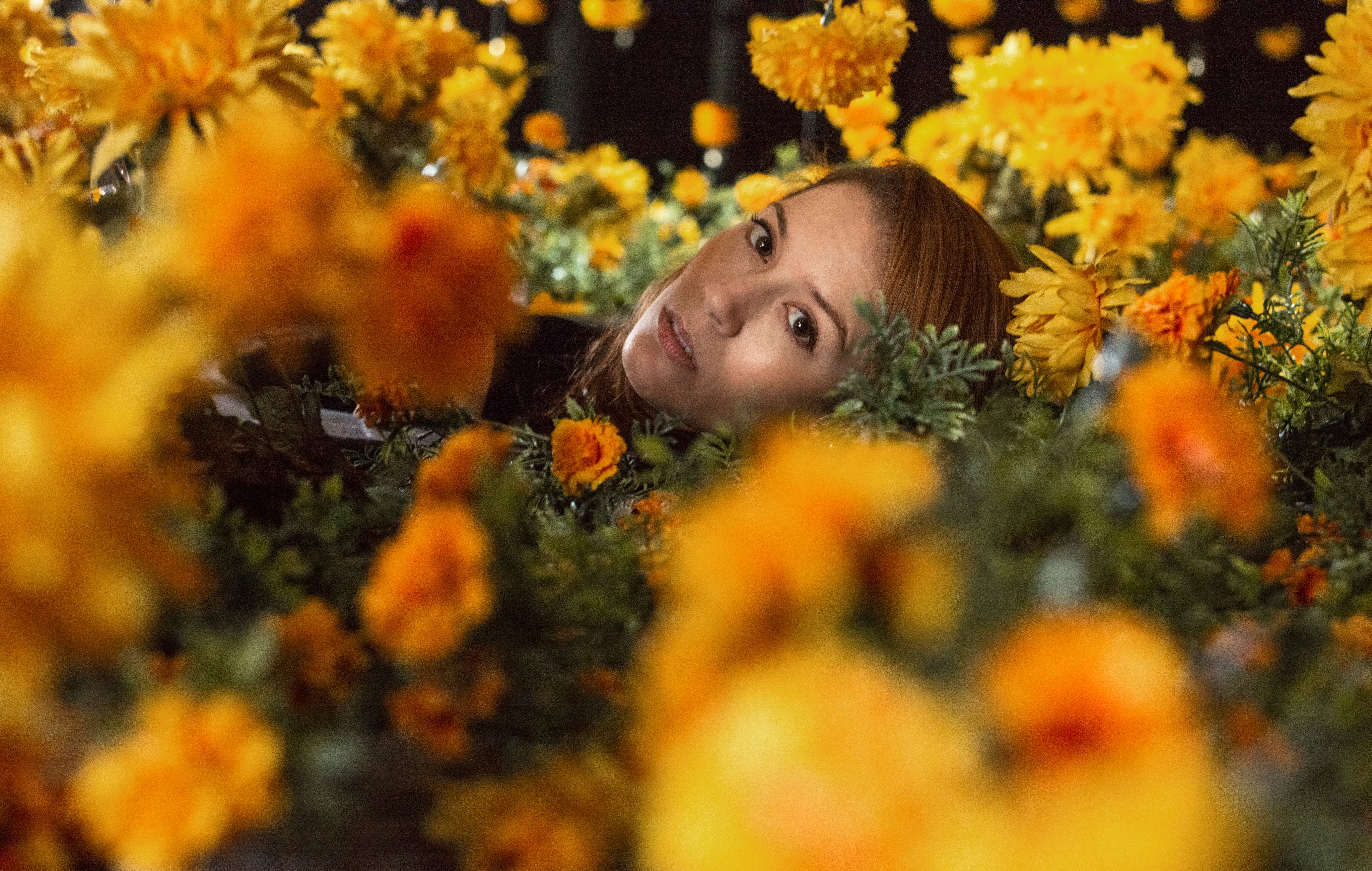 files/woman-lying-in-yellow-flowers.jpg